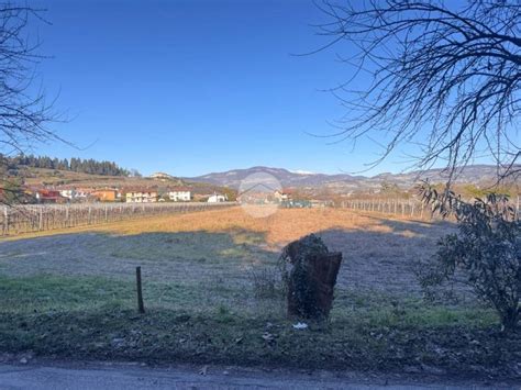 Terreno Agricolo Via Vito Pasetto San Pietro In Cariano Rif