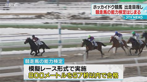 優駿デビュー近しホッカイドウ競馬能力検定はじまる 2歳馬およそ150頭が“合格”出走へ（2024年3月22日掲載）｜日テレnews Nnn