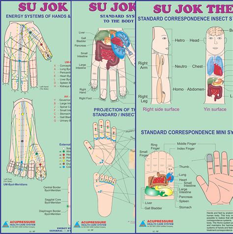 Sujok Therapy In Reflexology Pressure Points Acupressure