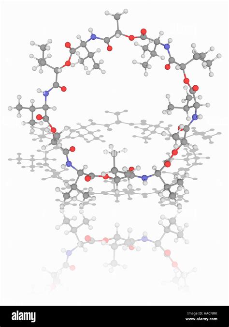 Valinomycin molecular hi-res stock photography and images - Alamy