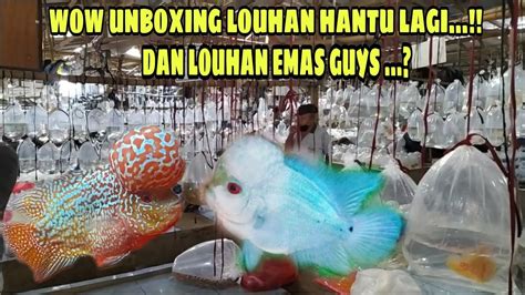 UNBOXING LOUHAN KOLEKSI TERBARU MURAH MERIAH GUYS AYO DI ORDER YouTube