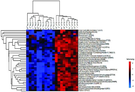 Differentially Abundant Proteins Download Scientific Diagram