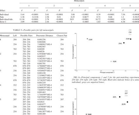 Results Of The Procrustes Anova For The Shape Effect Download Scientific Diagram