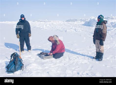 Scientists conducting bowhead whale survey count passing migrating ...