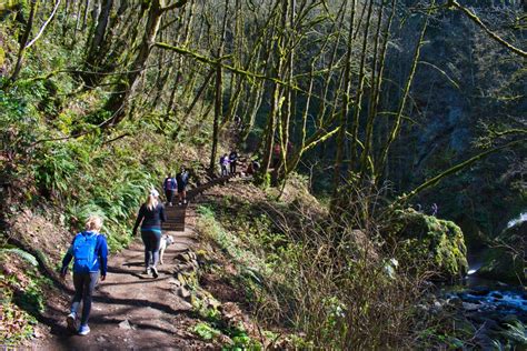 Bridal Veil Falls Trail Hike Image