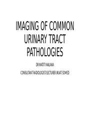 Imaging Common Urinary Tract Pathologies Modalities Course Hero