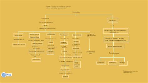 Paulina Santill N Biolog A Iii Mapa De La Lectura La C Lula Un