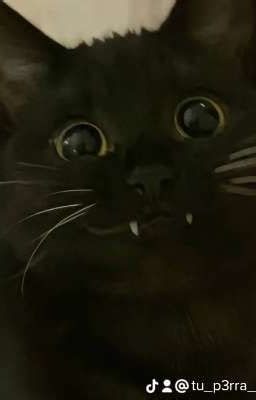 snaps you would get if we was friends:) - I my boyfriend 🤭😍 - Wattpad