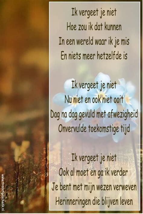 Rouwgedicht Ik Vergeet Je Niet Droevige Citaten Gedichten