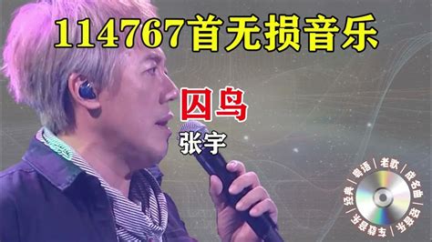 【70 80 90 后回忆老歌】张宇一首《囚鸟》太费烟了撕心裂肺的嗓音唱出爱情里的卑微 Youtube