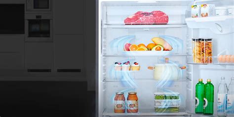 Холодильник LG GA-B509CLSL - купить, цены, отзывы | LG RU