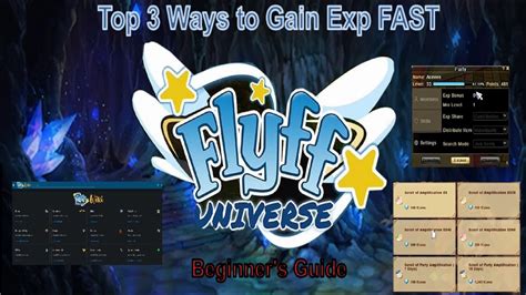 Flyff Universe BEST 3 Ways To Gain The Most Exp FAST How To Level