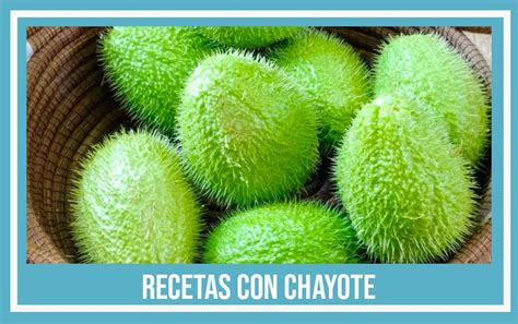 Arriba Imagen Receta De Chayotes Al Horno Abzlocal Mx