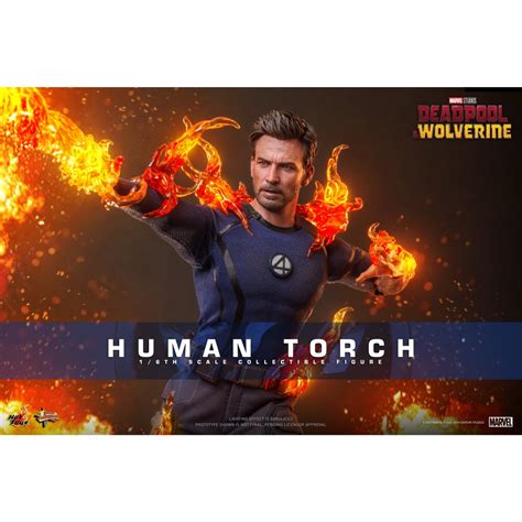 參號倉庫 預購 免運 年第 季 野獸國代理 HOT TOYS 吋 MMS 死侍與金鋼狼 霹靂火 蝦皮購物