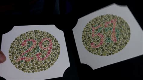 38 Plates Ishihara Color Blindness Test