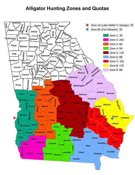 Georgia Alligator Hunting Adventure – Georgia Outdoor News