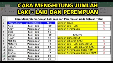 Cara Menghitung Laki Laki Dan Perempuan Di Excel Youtube