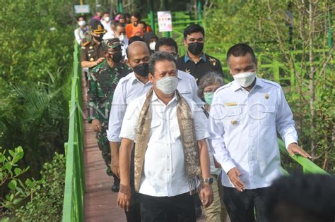 MENTERI KELAUTAN DAN PERIKANAN RESMIKAN MANGROVE PARIAMAN ANTARA Foto