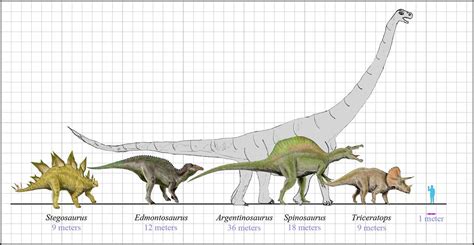 Argentinosaurus Size