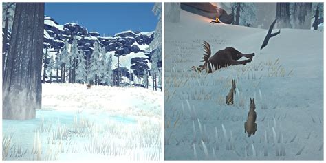 The Long Dark All 24 Moose Locations