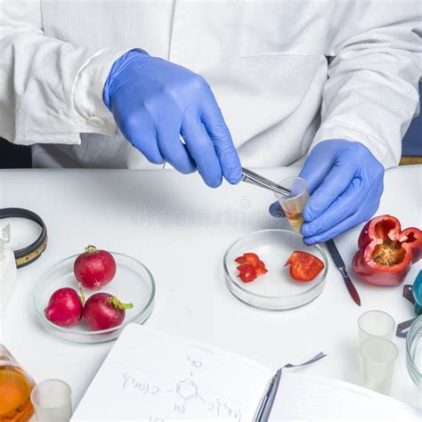 Quality Control Food Safety Inspector Working In A Laboratory Stock