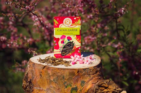 Саган-дайля (Рододендрон Адамоса)