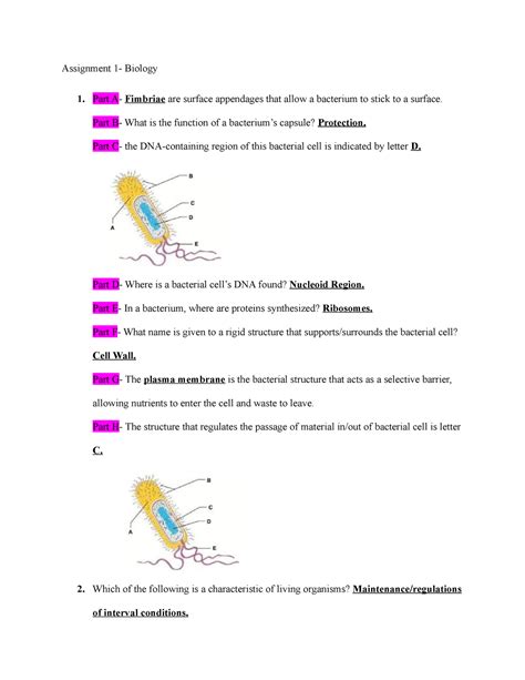 Assignment 1 Bio Assignment 1 Biology Part A Fimbriae Are Surface Appendages That Allow A