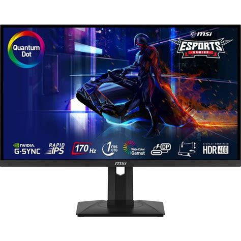 Msi G Qpf Qd Ips Wqhd Hz Ms Flat Gaming Monitor Fiyat