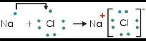 Naci Representaci N Molecular Brainly Lat