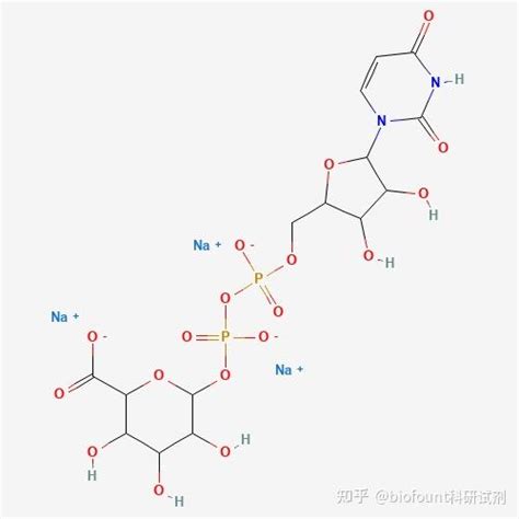 Udp Glucuronic Acid Trisodium尿苷 5′ 二磷酸葡糖醛酸三钠盐 知乎