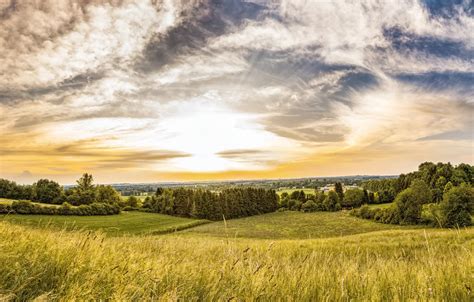 Wallpaper Field Summer The Sky Grass The Sun Clouds Light Trees