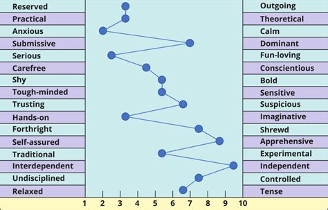 16 Personality Factors (16PF) Test - IDRLABS | Typology Central