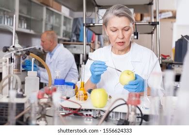 Mature Female Scientist Checking Fruits Vegetables Stock Photo