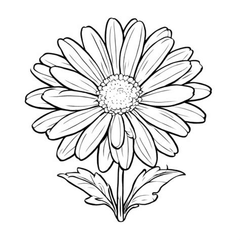 Descarga Imagen De Flor De Margarita En Blanco Y Negro Para Colorear Y