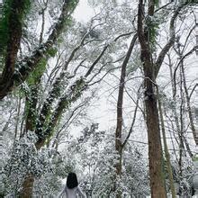 Qiaoniutt Nude Leaks Page Fapopedia