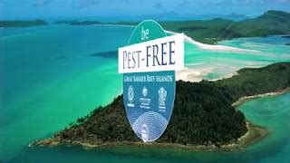 Springbrook National Park camping - Accommodation - Queensland