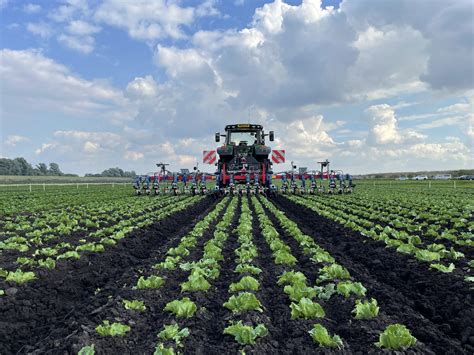 Growers find that leafy strains require specific light levels 13