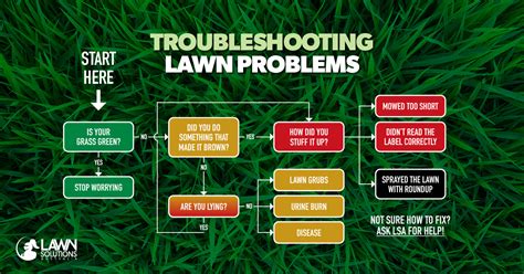 Troubleshooting Common Lawn Problems The Turf Farm Premium Instant Lawn