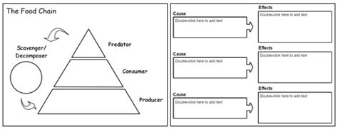 Using Graphic Organizers Across Webb S Depth Of Knowledge Creative Educator