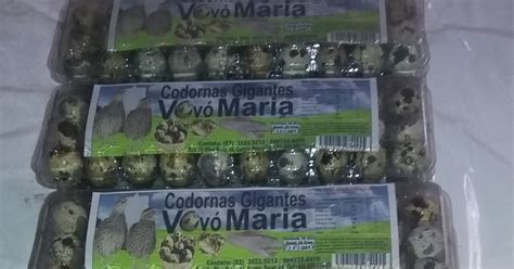 CODORNAS GIGANTES VOVÓ MARIA Ovos de Codornas Vovó Maria prontos e