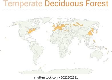 Temperate Forest Location