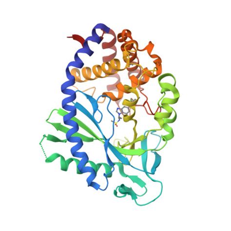 RCSB PDB 7FUL Crystal Structure Of Human Cyclic GMP Synthase In