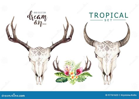 Watercolor Bohemian Cow Skull And Tropic Palm Leaves Western Deer