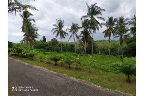 Dijual Tanah Cantik View Sawah Jalur Hijau Dan Ada Sungai Lahan Bawah