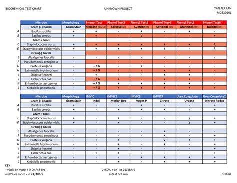 biochemical tests chart biochemical test chart unknown project yan