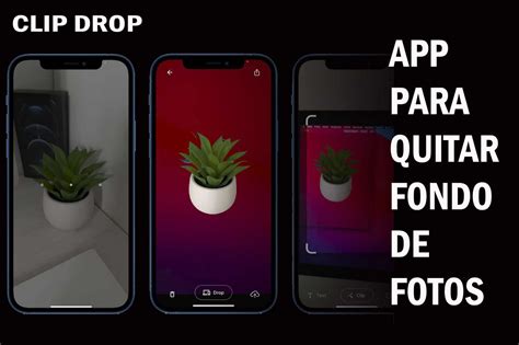 Las Mejores Apps De Iphone Para Quitar Fondo De Las Fotos Iphonea2