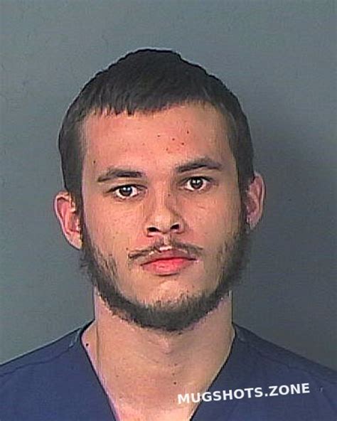 Deskins Dawson Hernando County Mugshots Zone