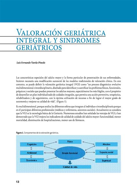 1 2 VGI a Valoración Geronto Geriátrica Integral geriátrico es un