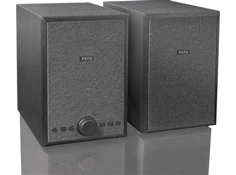 PEAQ PBS 100 Regallautsprecher bei MediaMarkt