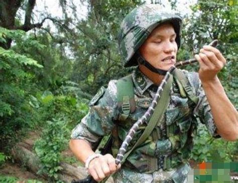 解放軍男女特種兵不只敢吃蛇，毒蛇充飢也不在話下！ 每日頭條